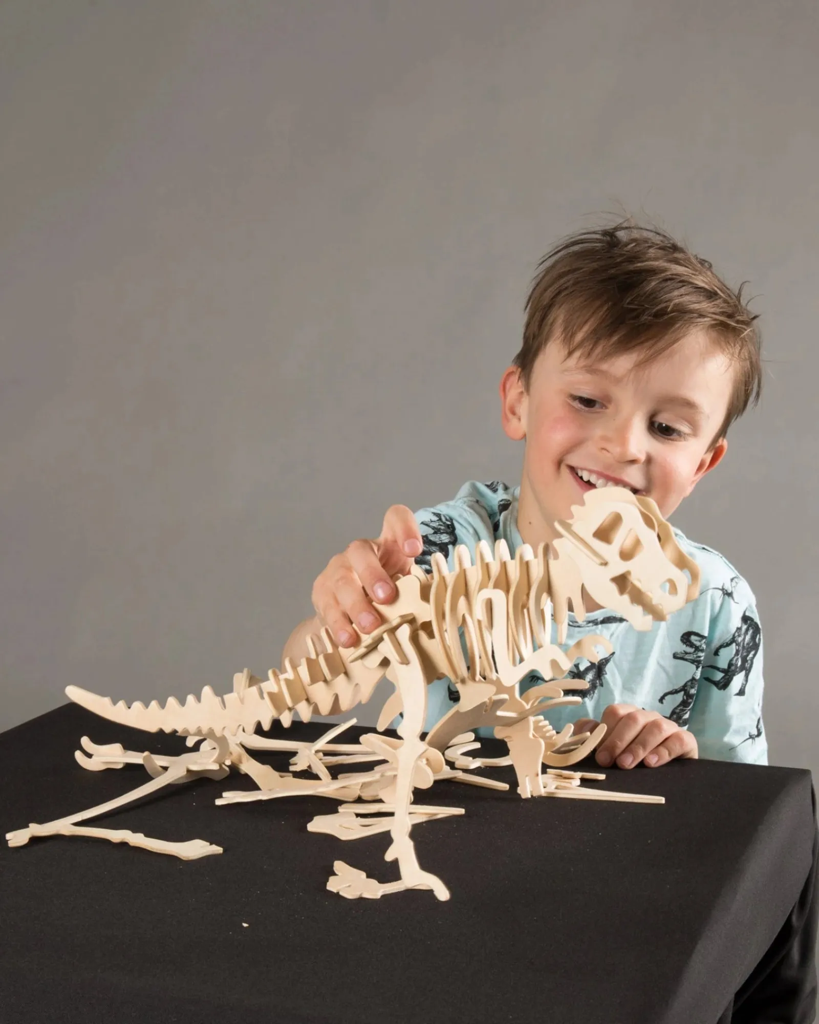WonderStuff Large Wooden Dino Kits Best