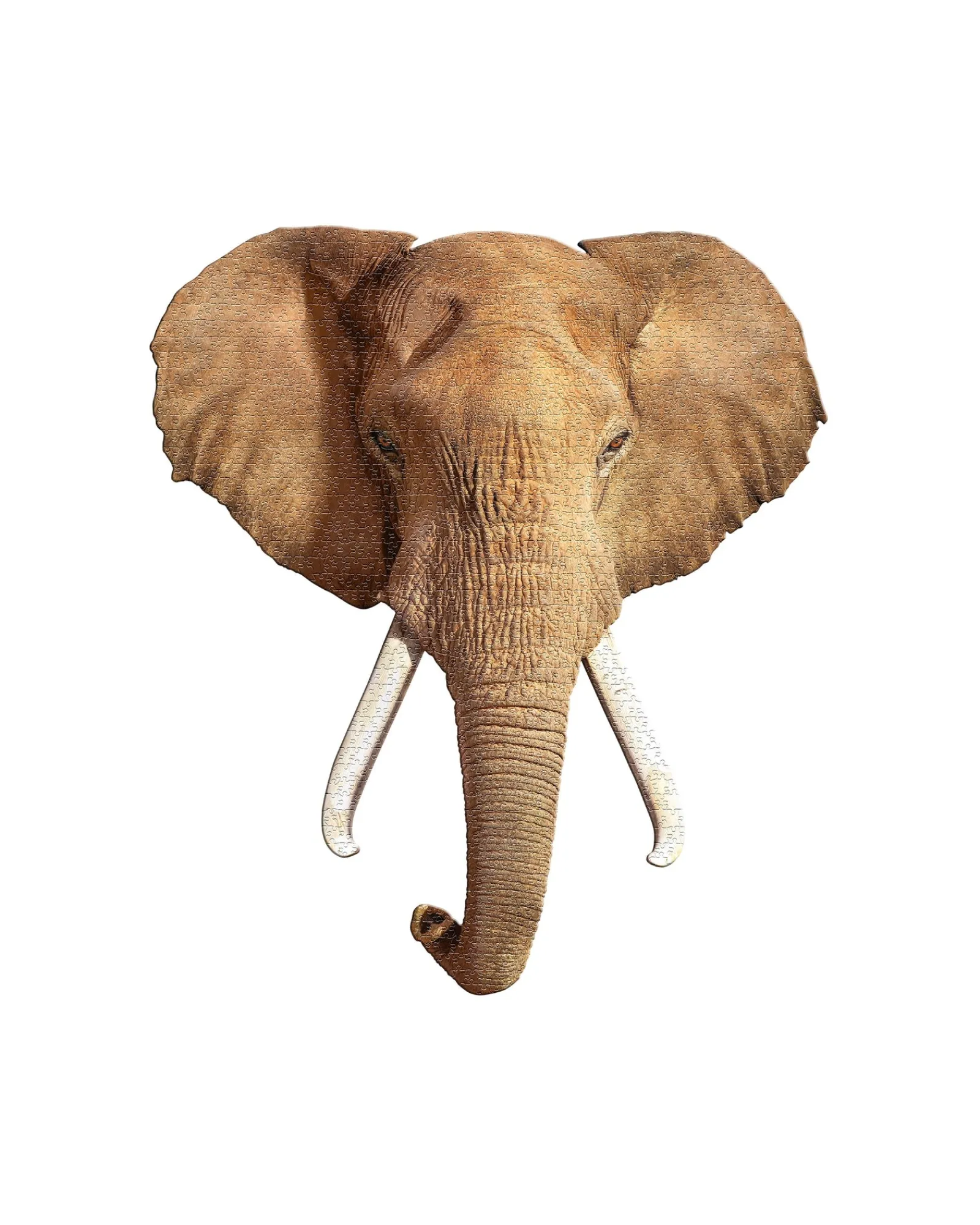 WOW Puzzle 700Pc I Am Elephant Online