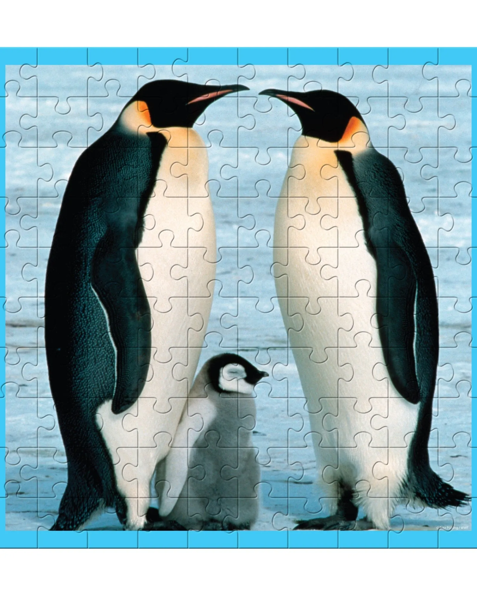 WWF 100Pc Puzzles Baby Penguin Online
