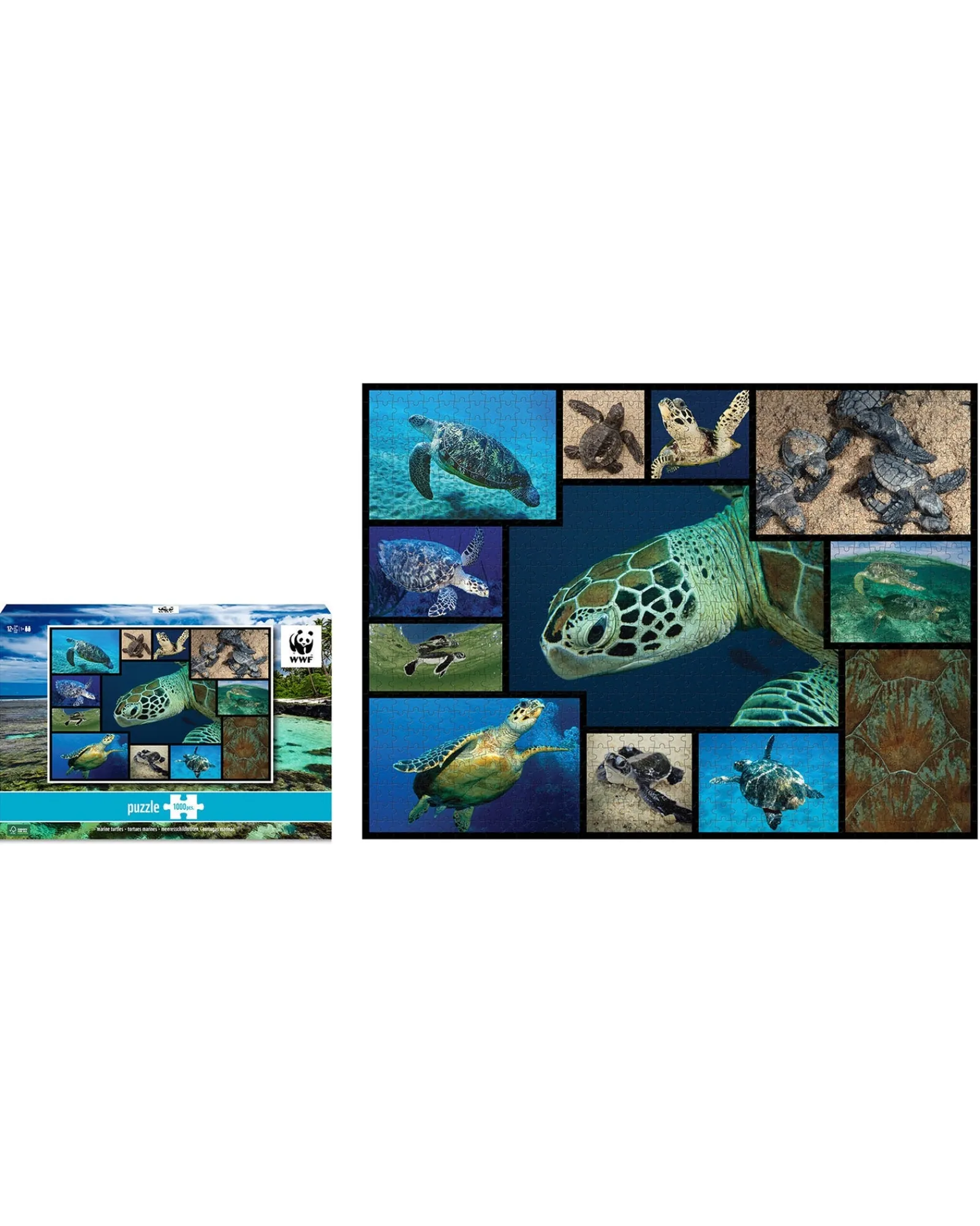 WWF 1000Pc Puzzles Sea Turtles Fashion