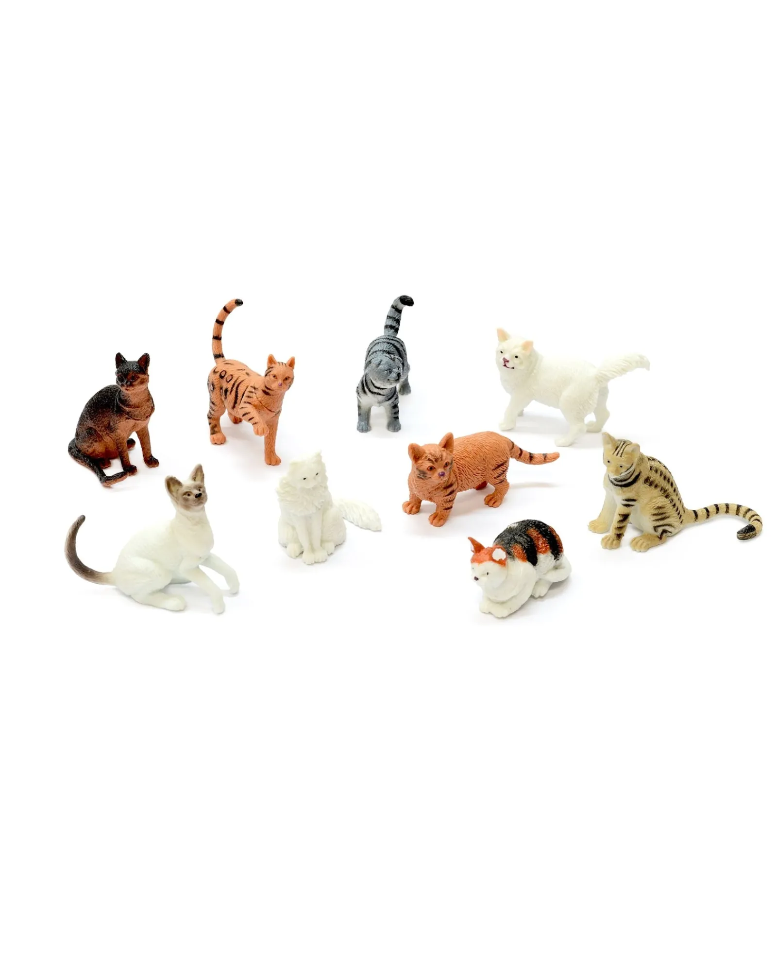 Zoo Crew Cat World Hot