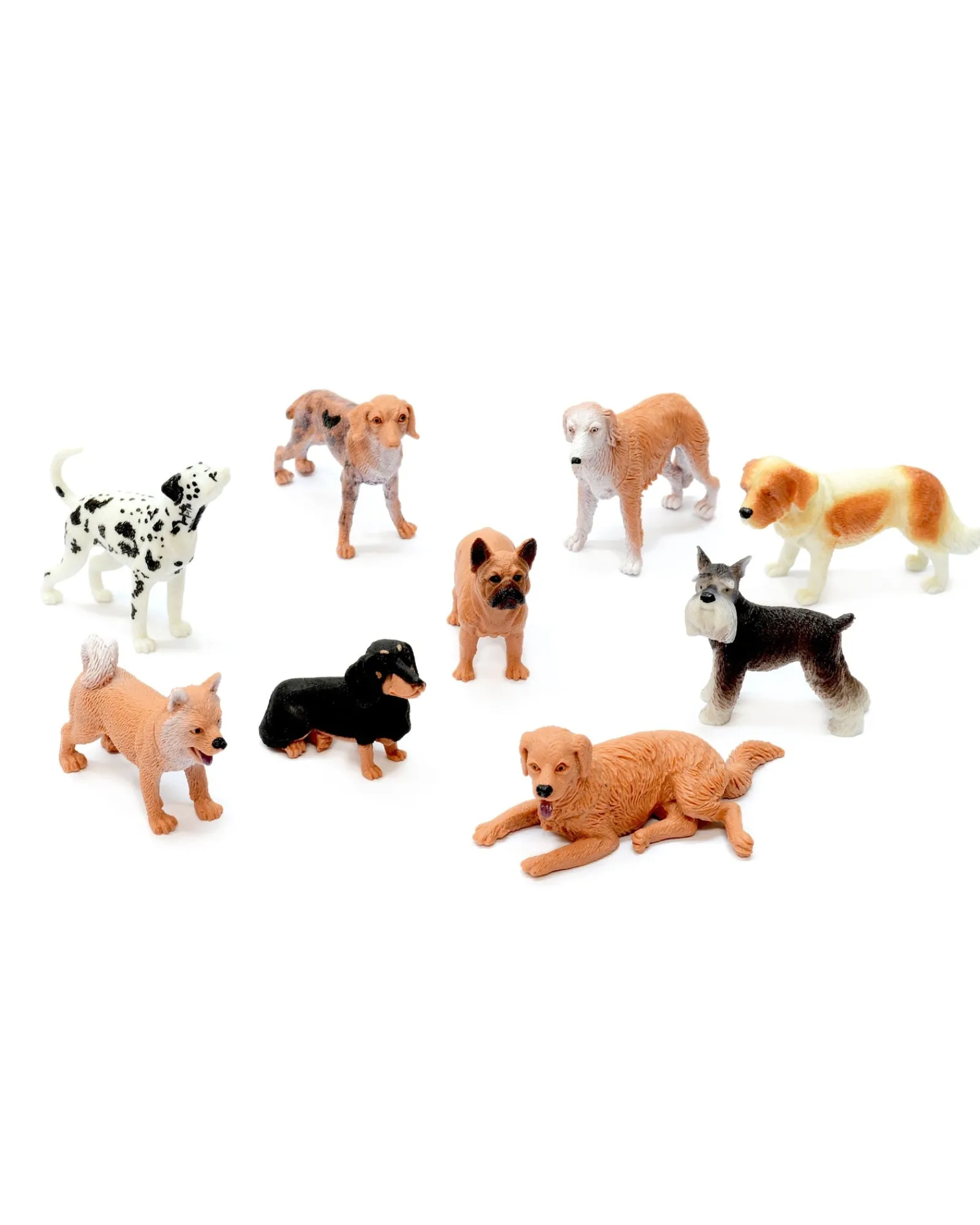 Zoo Crew Dog World Online