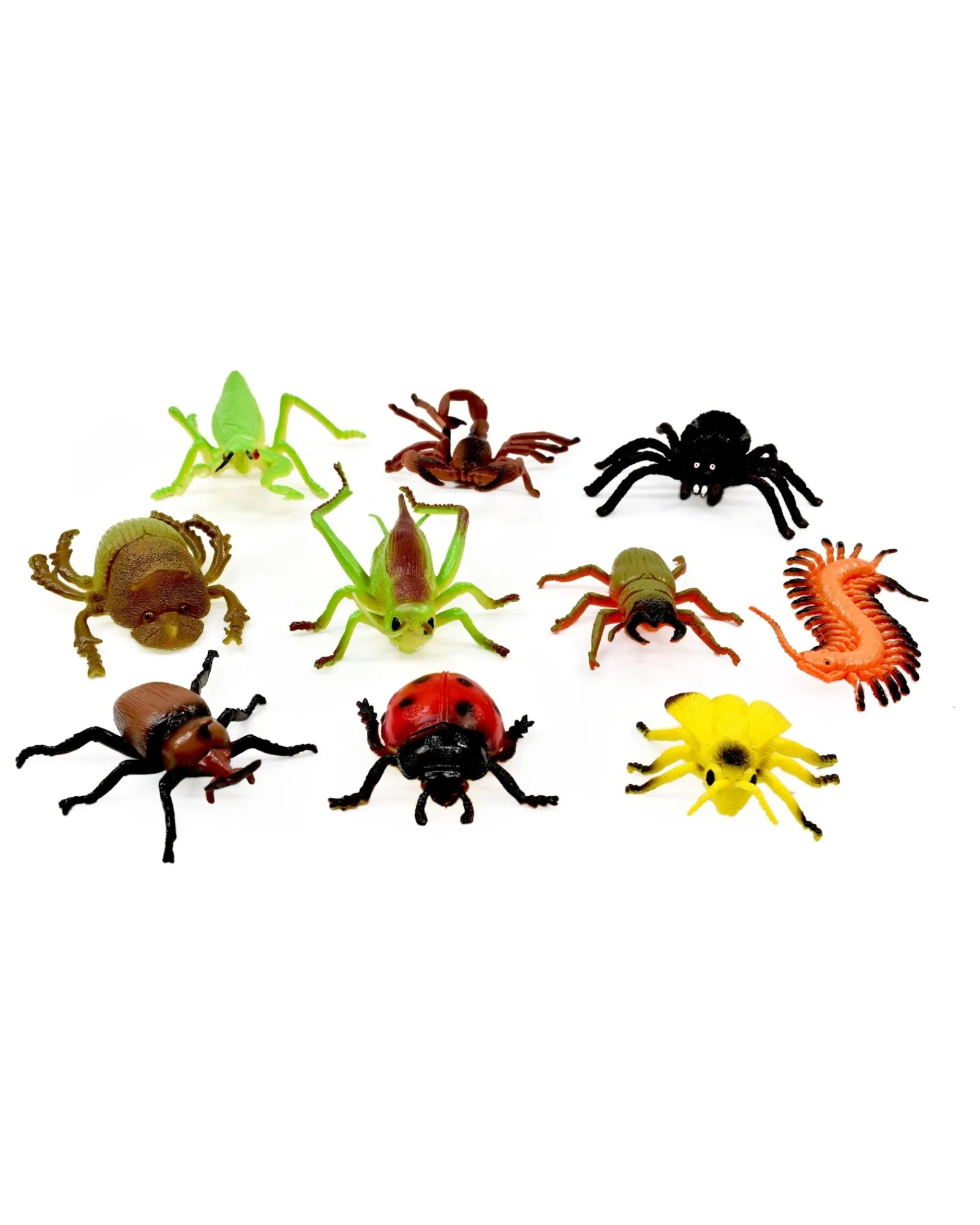 Zoo Crew Insect World Clearance