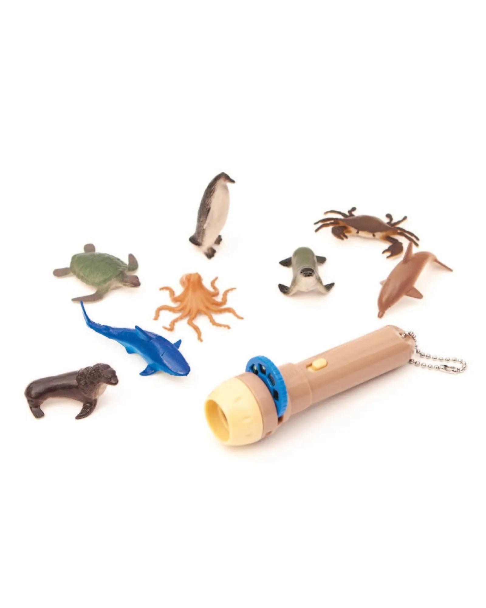 Zoo Crew Ocean Animals With Projector Torch Best