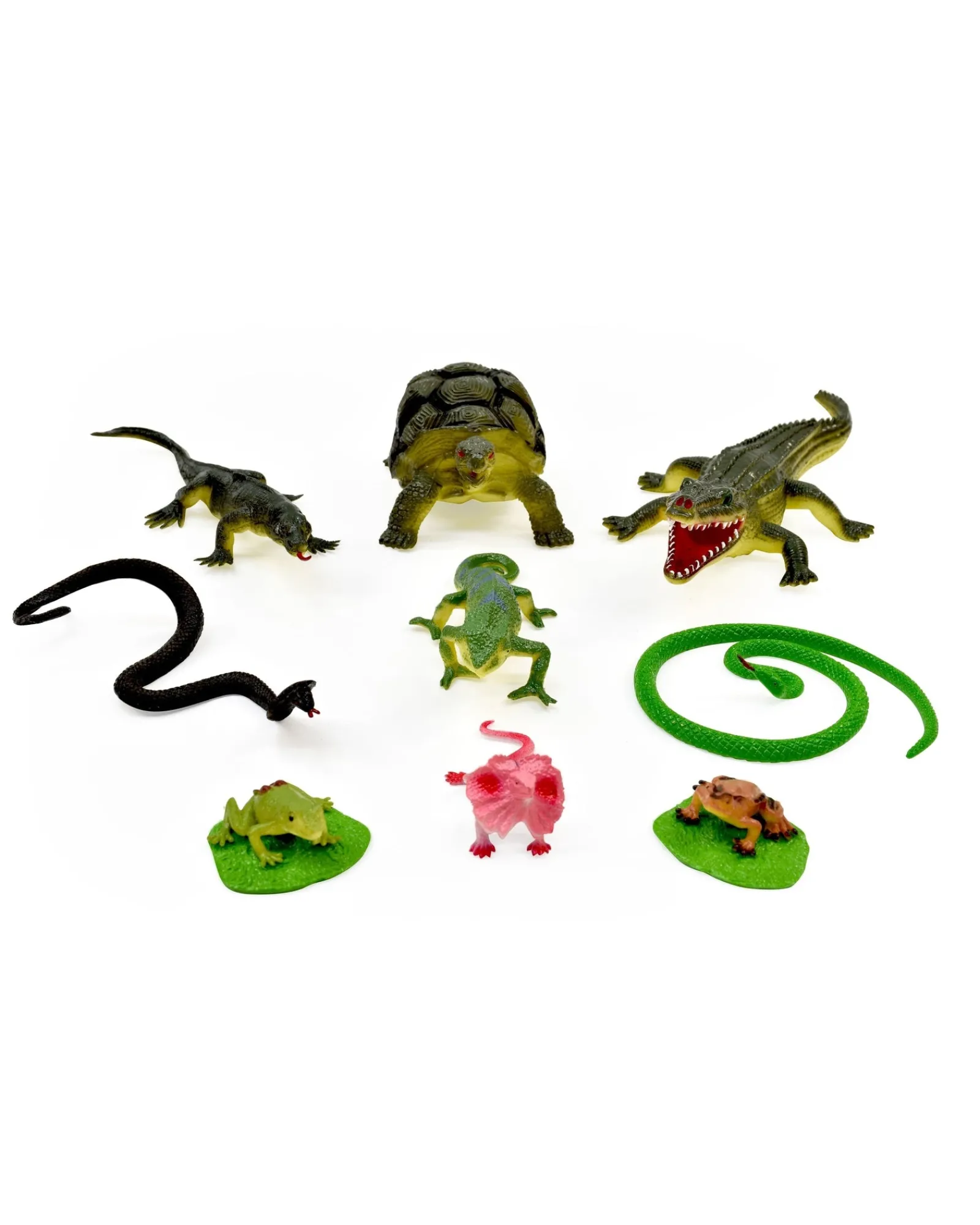 Zoo Crew Reptile World Flash Sale