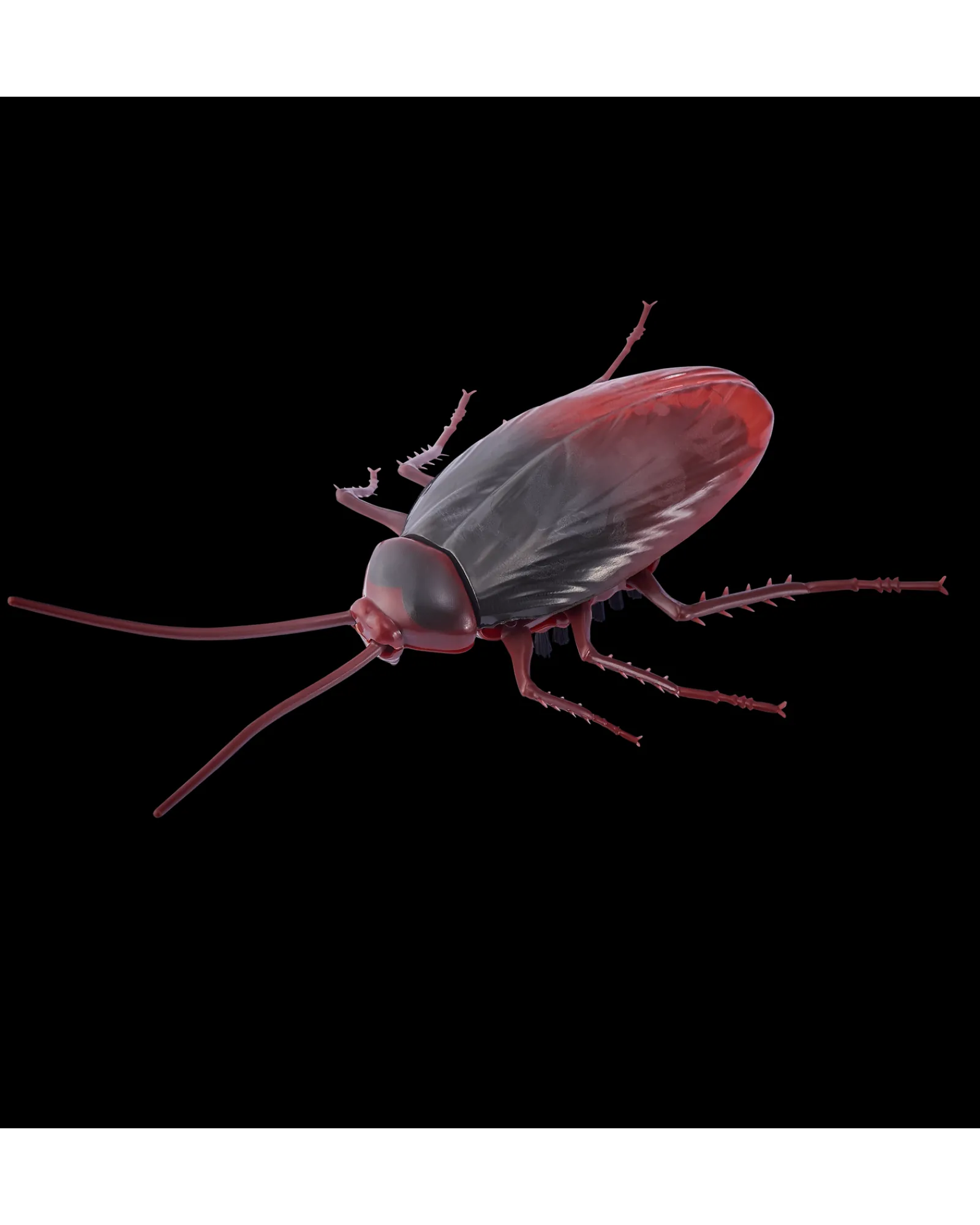 Zuru Robo Alive Glow In The Dark Cockroach Outlet
